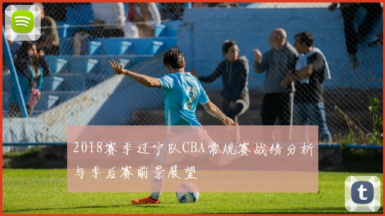 2018赛季辽宁队CBA常规赛战绩分析与季后赛前景展望